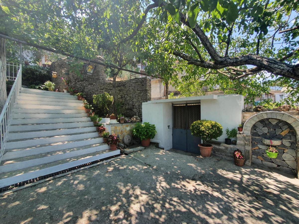 Riva Guest House Gjirokastra Zewnętrze zdjęcie
